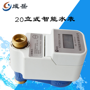 20立式智能水表